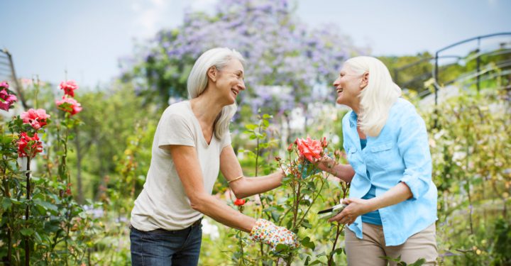 A woman smiles as she hands another woman a pink flower, Paradise Village in National City California